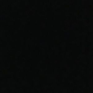 Meet your Posher, Sidney